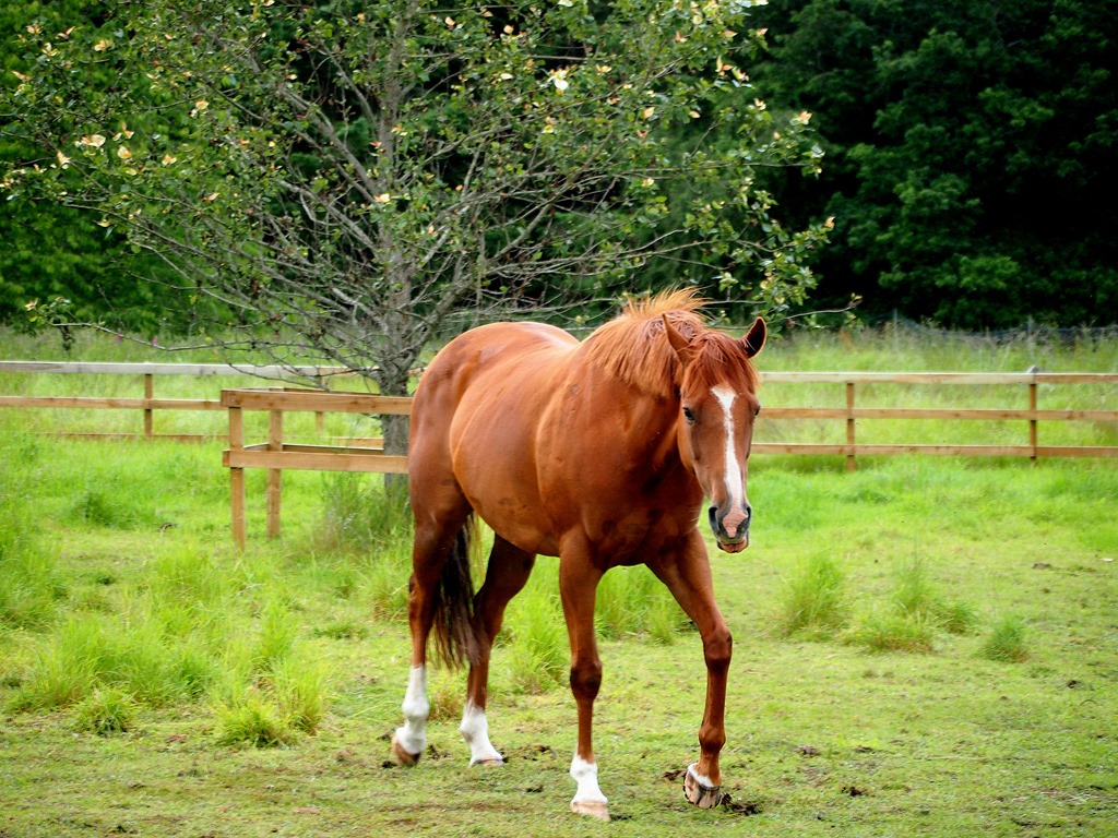 [7%2520July%25205%255B3%255D.jpg]