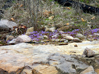 DSCN1922.JPG