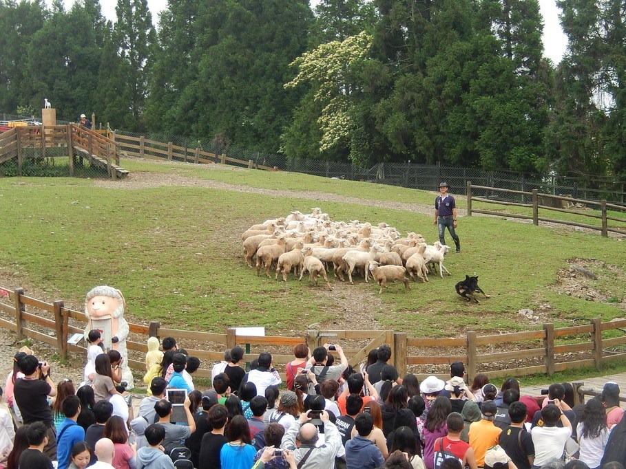 [2013_Day2_425.jpg]