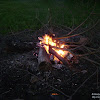 dsc02939.jpg