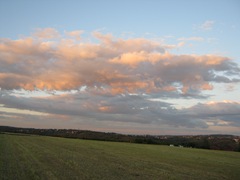 IMG_0012