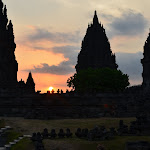 DSC_0214.JPG