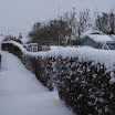 DSC00339.JPG