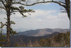 IMG_4653 IMG_4653