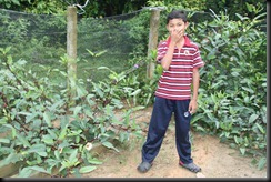 IMG_4915 IMG_4915