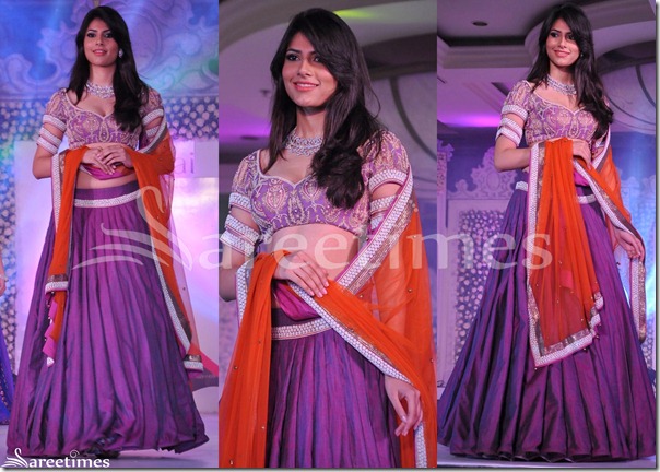 Neeta_Lulla_Embroidery_Saree_Blouse