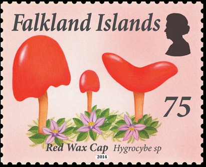 [image%255B31%255D.png]