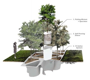 URBAN ARBORICULTURE URBAN ARBORICULTURE
