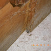 K800_IMGP1779.JPG