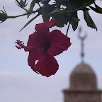 DSCF1138.JPG
