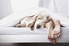 o-SLEEP-MISTAKES-facebook o-SLEEP-MISTAKES-facebook