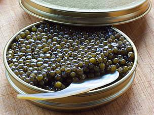 Caviar &ndash; the processed, salted roe of certain fish species, most notably sturgeon &ndash; is commercially marketed worldwide as a delicacy. The highly endangered sturgeons of the Danube river basin are at risk because of the persistent illegal trade in their caviar involving Bulgaria and Romania, according to a newly published TRAFFIC report compiled for WWF. &copy; Marco Veringa