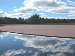 cranberry harvest cloud reflection on water 9.2013