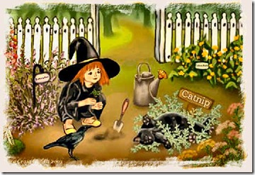 pookaherbgarden pookaherbgarden
