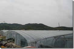 Korea set 10 054 Korea set 10 054