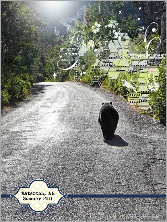 Sunshine Bear1a Sunshine Bear1a