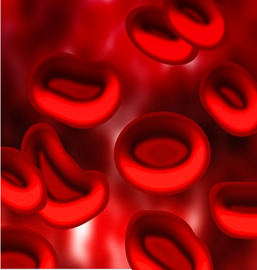 fungsi sel darah merah