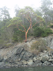 P7180007.JPG