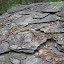 DSCN5692.JPG