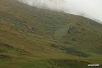 Green hill side