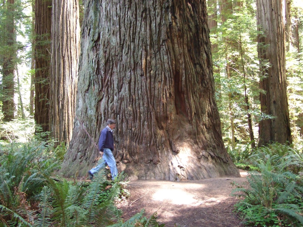 [DSCF6829%255B4%255D.jpg]