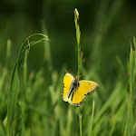 IMG_4815.jpg