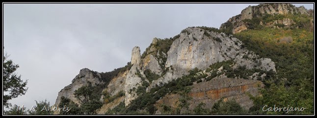 pano1 pano1