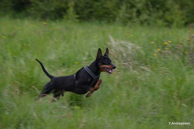 DSC_3642 DSC_3642