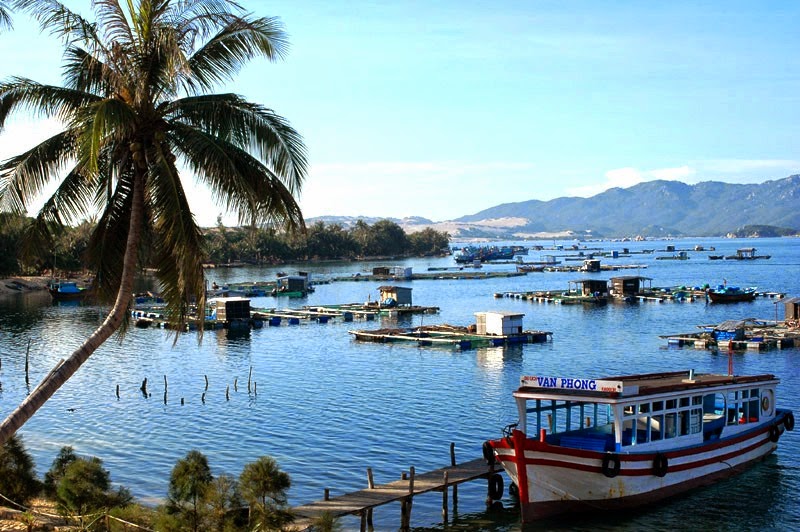 Kết quả hình ảnh cho dịch vụ du lịch nha trang 2017