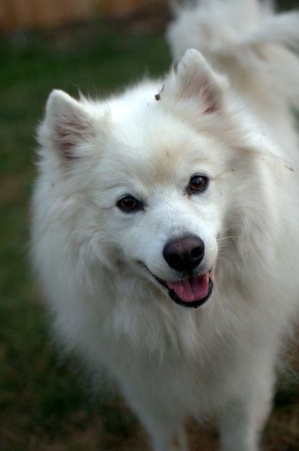 [DSC_0013%255B4%255D.jpg]