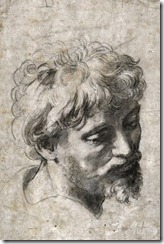 head of a young apostle