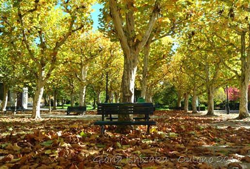 Glória Ishizaka - Folhas de Outono - Portugal 13