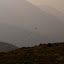 DSC00290.jpg
