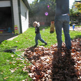  &ndash; 19-Oct-2008