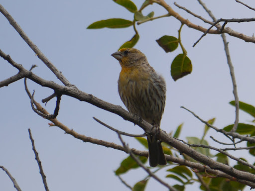 P1060400