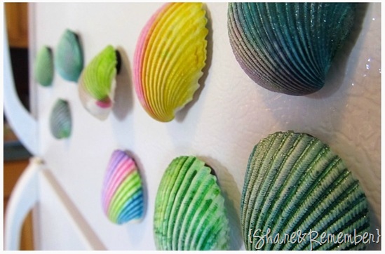 Painted Seashell Magents 5 Painted Seashell Magents 5