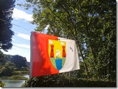 Bandera de Cork Bandera de Cork