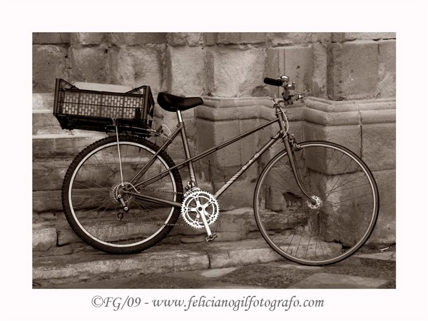 Bicicleta (Large).jpg Bicicleta Large