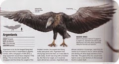 Argentavis-Magnificens-comparison-riassunto Argentavis-Magnificens-comparison-riassunto