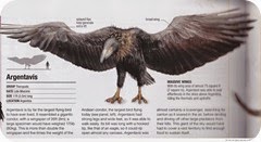 Argentavis-Magnificens-comparison-riassunto