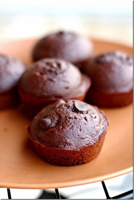 Double Chocolate Chip Muffins2