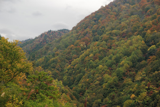 天生峠の紅葉
