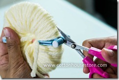 DSC_1404_pompom DSC_1404_pompom