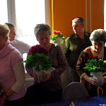 IMGP7432.jpg