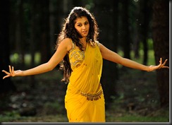 taapsee spicy posing photos stills from mogudu telugu movie hero actress latest new hot photos stills images pics gallery