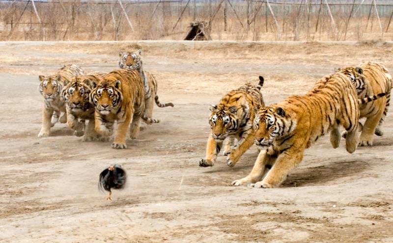 This is what happens at work.