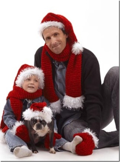 Knitting Dragonflies: Santa Hat Pattern, Knit and Crochet