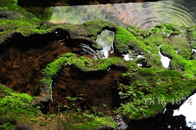 [DSC_5541%255B10%255D.jpg]