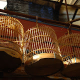 Shanghai - Pets market - cages au soleil