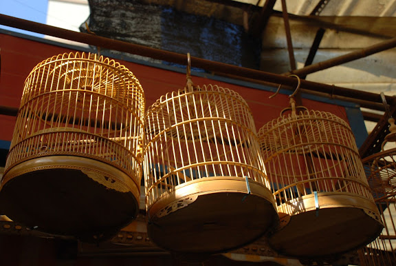 Shanghai - Pets market - cages au soleil